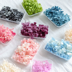 Vente en gros de fleurs d'hortensia naturelles, réelles, préservées, séchées et pressées, à bas prix, pour la fabrication de bougies, de savons, de résines et la décoration artistique. - Product Image 1