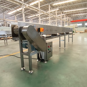 Convoyeur en acier inoxydable pour aliments et boissons, facile d'entretien, à lamelles SS304, support technique Expert Maker - Product Image 2