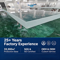 Panneau mural en acrylique transparent de haute qualité Leyu Factory, piscine à débordement extérieure sur mesure, taille personnalisée disponible, 93% de luminosité