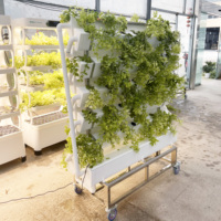 Systèmes de culture hydroponique verticaux de haute qualité, tours aéroponiques, serres agricoles