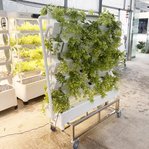 Torre Aeropónica de Alta Calidad, Sistemas de Cultivo Hidropónico Verticales, Invernadero Agrícola - Product Image 4