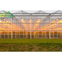 Lampe de culture HPS ( Sodium haute pression ) en alliage d'aluminium avec une durée de vie de 25 000 heures pour la croissance commerciale des plantes dans les systèmes de serres