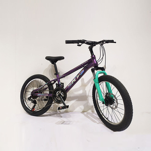 Vélo pour enfant de 20 pouces pour fille de 8 ans, vélo d'école primaire, vélo de montagne, vélo pour enfant de 9 ans, une pièce, 20 pouces, vélo d'étudiant - Product Image 2