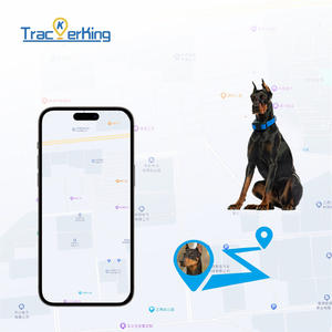 ปลอกคอสุนัขติดตาม GPS กันน้ำขนาดใหญ่ รุ่น DK07 4G สำหรับสุนัขและแมว ระบบติดตาม GPS แบบเรียลไทม์ ป้องกันการสูญหาย - Product Image 2