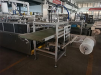 Fabricant de sources Prix réduit Boîte d'emballage jetable en plastique PP Boîte à emporter Machine de fabrication de prix réduit