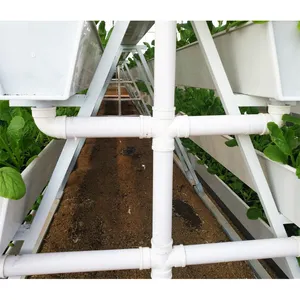 Systèmes hydroponiques verticaux pour fraises