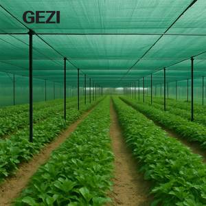 Filet d'ombrage en fil rond robuste 140-200 GSM pour le marché AU/NZ |   Couverture de serre stabilisée anti-UV à 70%-90% d'ombrage - Product Image 3