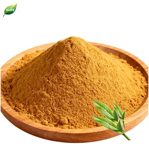 KLIFE Thé japonais Hojicha en poudre personnalisé Thé vert torréfié en poudre - Product Image 2