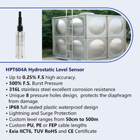 Holykell Transmetteur de Niveau de Liquide Immergé 4-20mA RS485, Sonde de Niveau pour Réservoir d'Eau et de Carburant Diesel
