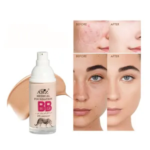 Abz Groothandel Volledige Dekking Private Label Bb Cream Vloeibare Foundation Make-Up Waterdichte Luipaard Print Foundation