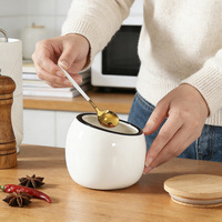 Tarro de Cerámica Creativo para Condimentos, Resistente al Calor, Apto para Microondas, Estilo Moderno Minimalista, Recipiente para Condimentos de Cocina, Tarro para Sal, Aceite de Chile, Especias