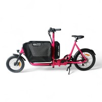 Mini vélo cargo électrique hybride pédale Ebike pour vélo utilitaire de livraison de nourriture E-Cargo pliable