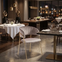 Chaise de salle à manger moderne en velours avec pieds en métal, chaise rembourrée pour restaurant, fauteuil de café et hôtel, mobilier commercial en gros