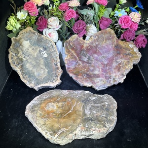 Vente chaude en vrac en bois brut grandes dalles fossiles en bois pétrifié en bois pétrifié poli pour ornement - Product Image 1