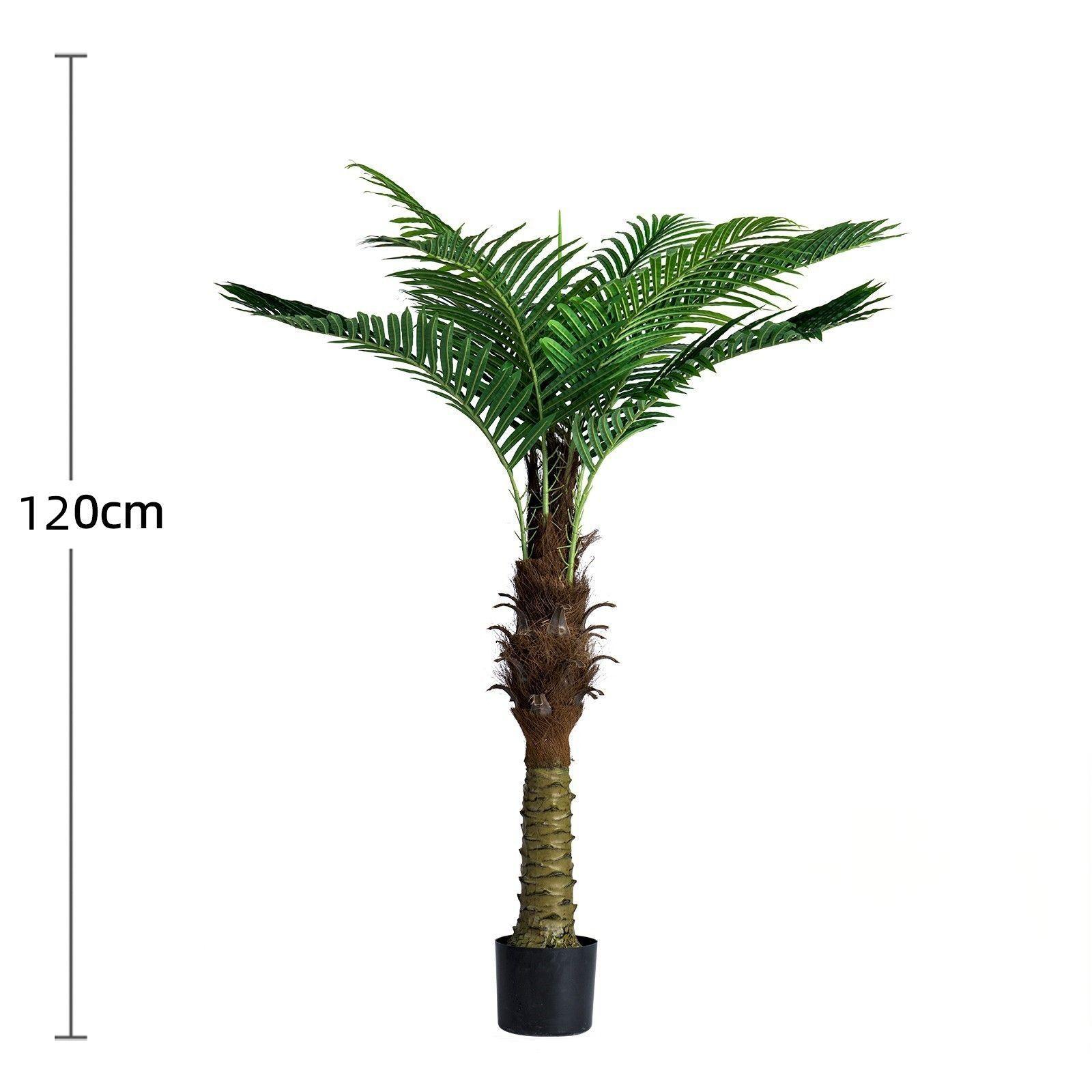 Albero di cocco verde, alto 1,2 metri