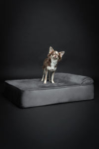 OEM ODM Luxe Orthopedische Memory Foam Hondenbedden Op Maat Hondenbed Afneembare Wasbare Waterdichte Hoes - Product Image 3