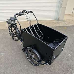 Vélo cargo électrique à 3 roues, moteur central 36V 250W, style Bakfiets familial, cadre en aluminium, <span class=keywords><strong>Nexus</strong></span> <span class=keywords><strong>8</strong></span> vitesses, freins à disque hydrauliques - Product Image 2