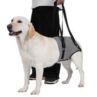 Harnais de Soutien Post-Opératoire en Polyester pour Chiens Âgés : Aide à la Mobilité et à la Rééducation des Pattes Arrière, Idéal pour les Escaliers et les Voitures (Vente en Gros)