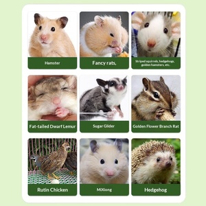 <span class=keywords><strong>Cage</strong></span> Spéciale pour <span class=keywords><strong>Hamster</strong></span> Personnalisée 47, Fondation Anti-Morsure, Barres Épaissies, Ours Doré, <span class=keywords><strong>Cage</strong></span> de Luxe Super Large - Product Image 4