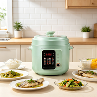 Cuisinière à pression électrique multi-menus 6L, fonctionnement à une touche, pot antiadhésif, cuisinière à pression domestique pour