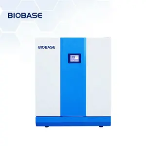 BIOBASE CHINA BJPX-H54BK(D) Touch Screen Constant Temperature Incubator with double layer door