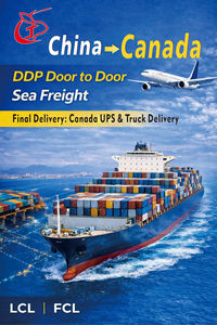 Agente di Trasporto Marittimo Più Economico, Servizio Porta a Porta DPD UPS dalla Cina a USA, Canada e Regno Unito - Product Image 4
