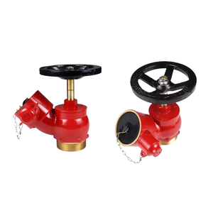 2.5 ''Brass Inlet xiên hạ cánh van cứu hỏa thiết bị cho phòng cháy chữa cháy chữa cháy phụ kiện - Product Image 1