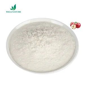 Wellnature Factory Wholesale Bulk Price Instant Concentrate Apple Juice Powder