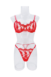<span class=keywords><strong>Conjunto</strong></span> de bragas florales de encaje Brabra para mujer Conjuntos de bragas de fotos sexy para mujer Ropa interior sexy para mujer Deep V Push up - Product Image 5