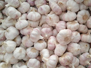 Nuovo Raccolto 2026: Prezzo dell'Aglio Bianco Cinese Normale in Salita, Preoccupante - Product Image 5