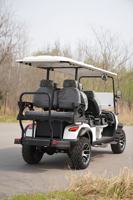 Voiturette de golf électrique 6 places, capacité 2-8 passagers, en aluminium et acier, certifiée CE, 30 km/h, pour la chasse et la route, buggy, scooter