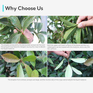 10L hai loại vòi phun sương mịn điện ba lô phun với quạt gió - Product Image 6