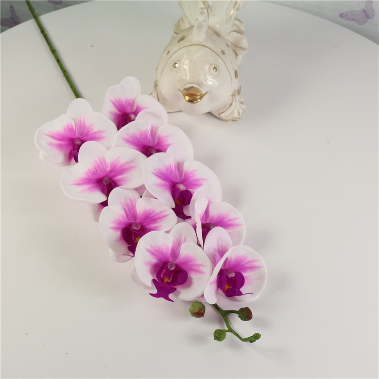 4 # violet 2