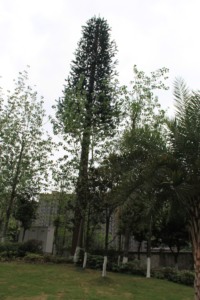 Árbol Biónico de Pino Resistente a la Intemperie para Diseño de Paisajes de Parques Públicos Modernos - Product Image 4