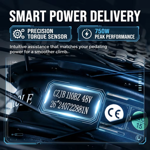 จักรยานไฟฟ้า Vakole EMT29 48V750W ล้อหลังแบบฮับ ล้อล้อโต 29*2.4 นิ้ว ยาง Fat Tire โช้คอัพหน้า สำหรับจักรยานเสือภูเขา ถนน ทางวิบาก กันน้ำ - Product Image 5