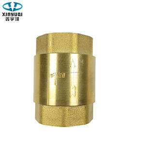 Nhà Máy Giá 1/2 Inch Đu Brass Kiểm Tra Van Áp Lực Cao Dọc Mùa Xuân Với Chủ Đề Nội Bộ Của Nhãn Hiệu Nước Kiểm Tra Van - Product Image 1