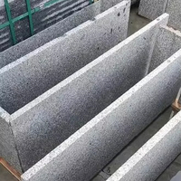 Carreaux de granit noir sésame élégants, couleur uniforme, 600x600mm, 30mm d'épaisseur, écologiques, durables pour les sols intérieurs/extérieurs modernes