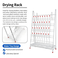 Support de séchage en verre pour tubes à essai, béchers, flacons, cylindres gradués, avec picots antidérapants, support de drainage de laboratoire