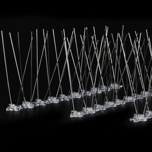 Antiparasitaire en acier inoxydable dissuasif pointes d'oiseaux Transparent Polycarbonate plastique <span class=keywords><strong>Anti</strong></span> vol pointes d'oiseaux oiseau - Product Image 3
