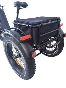 QUEENE/20 Inch Folding Electric Trike Fat Tire 3 Wheel Electric Tricycle 3 Wheels Adult Cargo Electric Bike