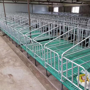 Élevage Animal Chinois : Cages de Maternité et de Gestation pour Truies et Porcs en Ferme Porcine - Product Image 4