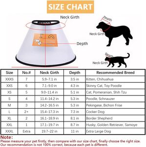 Collares para mascotas, correas, cono protector de recuperación, <span class=keywords><strong>collar</strong></span> para perros y gatos isabelinos - Product Image 4