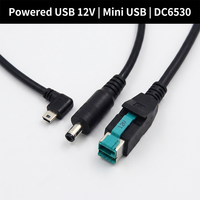 Câble adaptateur sur mesure 12V USB mâle vers DC6530 mâle + Mini USB mâle