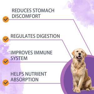OEM ODM Private Pets <b>Probiotics</b> for <b>Dogs</b> with Prebiotics Promotes a Balanced Gut Microbiome - Boosts Immune Health Soft Chews - Product Image 4