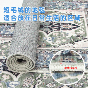 พรมเช็ดเท้าลายเหรียญสี่เหลี่ยมผืนผ้าสำหรับทางเข้าบ้าน พรมปูพื้นกันลื่น ซักได้ เหมาะสำหรับห้องครัวและห้องนั่งเล่น - Product Image 5