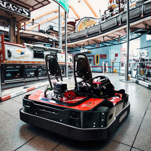 FL200D Dual Control Go Kart Family Entertainment Corps léger Faible coût d'exploitation - Product Image 1