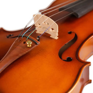Fábrica de violines al por mayor ofrece servicios de personalización OEM para varios tipos de violines. - Product Image 6