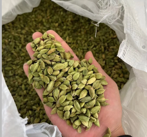 Truffes noires fraîches de qualité alimentaire supérieure, ingrédient naturel pour l'excellence culinaire et le bien-être nutritionnel - Product Image 6