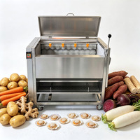 Machine à éplucher et laver les pommes de terre, le manioc, le gingembre et les carottes, usage commercial et industriel, capacité 200-1000 kg