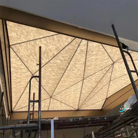 Usine Plafonds Suspendus Msd Rétro-Éclairé Film Faux Techo Pvc Plafon Led Plafond pour Dubaï En Gros